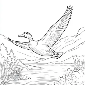 Coloring pages with A duck flying gracefully above a river.