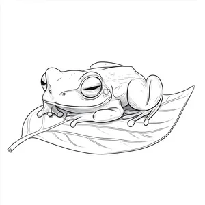 Coloring pages with A frog napping on a leaf.