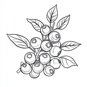 Coloring pages with a cluster of blueberries outline designed for children.