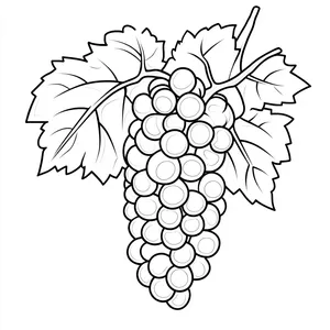 Coloring pages with a bunch of grapes outline designed for young children.