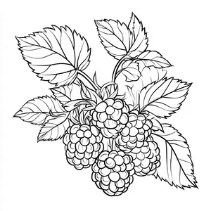 Coloring pages with a bunch of raspberries outline for kids to color.